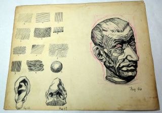 14 " Antique 1920s Ink Sketch Drawing Mrs.  Lester Bennett Old Man Face Study