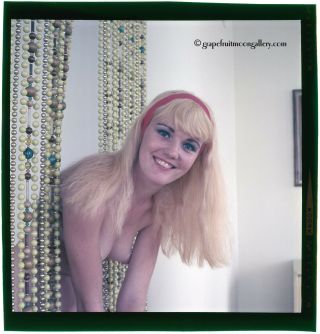 Vintage 1960s Bunny Yeager Color Camera Transparency Pretty Topless Blonde Model 2