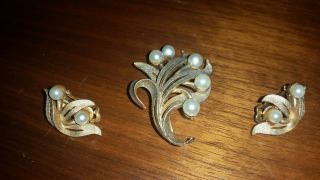 Vintage Roma Leaf With Faux Pearl Gold Tone Brooch And Clip On Earrings
