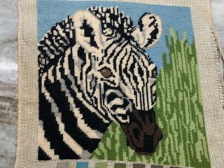 Fine Vintage Finished Zebra Needlepoint Canvas 9 X 9