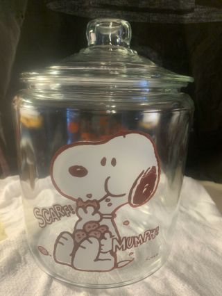 Vintage Snoopy Glass Cookie Jar Anchor Hocking With Lid
