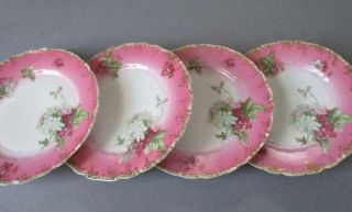 4 Pretty Antique German PINK Porcelain Plates HYDRANGEAS 