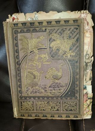 antique victorian scrapbooks and trade cards,  hundreds 3