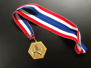 Vintage Karate Gold Medal Red White Blue Neck Drape Award 2 3/4 "