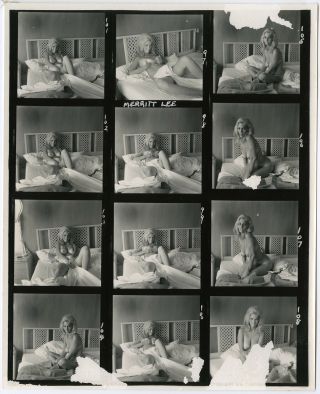 Bunny Yeager Vintage Contact Sheet Photograph Sultry Merritt Lee Boudoir Session