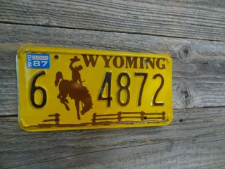 1987 Wyoming Bucking Horse License Plate All Paint License Plate