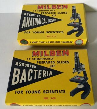 Vintage Milben Prepared Glass Slides Bacteria & Anatomical Tissue