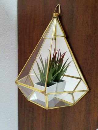 Vtg Brass,  Glass,  Mirror Wall Display Case/curio/trinket Box/terrarium/planter