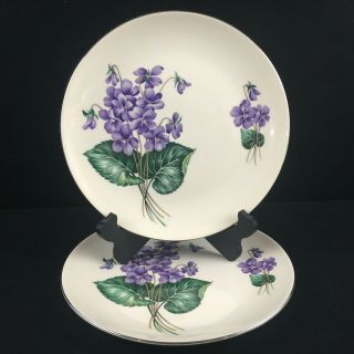 Set Of 2 Vtg Dinner Plates 10 " Homer Laughlin Purple Violets Ry153 Flowers Usa
