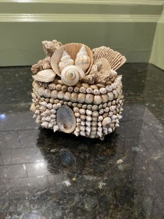 Vintage Antique Victorian Sailors Valentine,  Sea Shell Art Seashell Jewelry Box