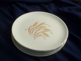 Vintage Golden Wheat Dish Homer Laughlin White Plate 22k Gold Set Of 4 - 7.  25 "