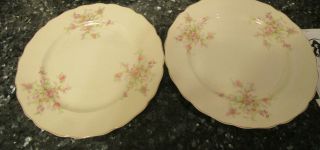 3 Vintage Canonsburg Can19 10 " Dinner Plate Pink/purple Flowers Gold Trim Leave