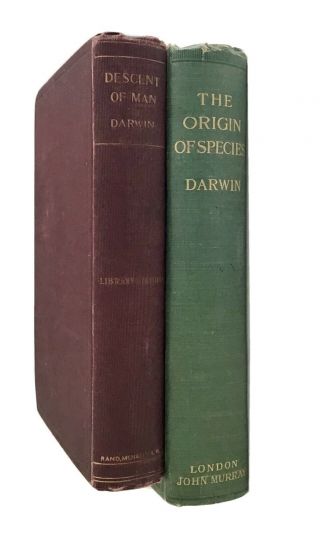 Antique Darwin Books Origin Of Species & Descent Of Man