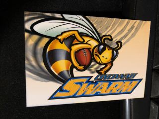 2003 Cincinnati Swarm Arena Football Pocket Schedule