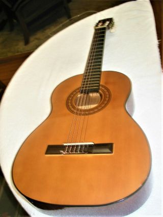 Vintage Gremlin Model G 10n Acoustic Guitar G10n 6 String