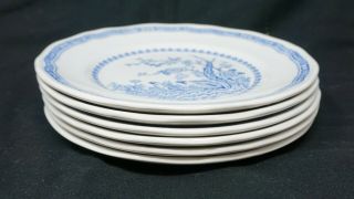 6 Antique Furnivals Blue Quail Plates 6 " England Rdno 684771