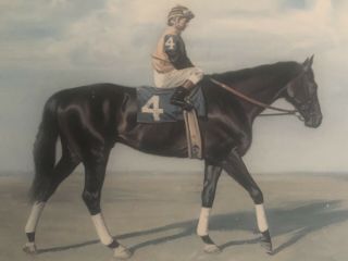 Rare Signed Print Of 3 Time Champion Racehorse & Horse Of The Year Forego.