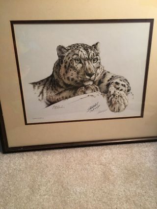Wildlife Guy Coheleach Snow Leopard Framed Art Print,  Matted - Frame - Signed/date