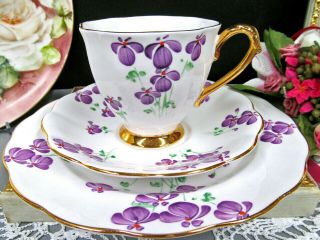Royal Standard Tea Cup And Saucer Trio Painted Purple Violets Pattern Teacup