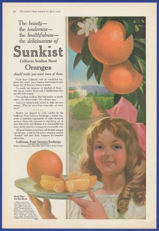 Vintage 1916 Sunkist Oranges California Fruit Growers Exchange Chicago Print Ad
