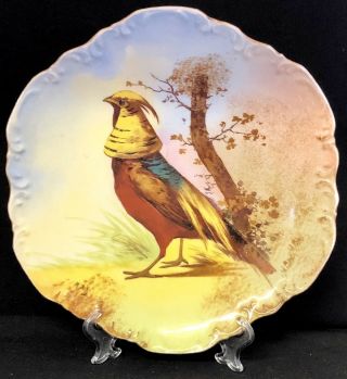 Limoges Antique 1906 Coronet Oriental Pheasant Bird 9.  5 " Plate Artist Signed Max