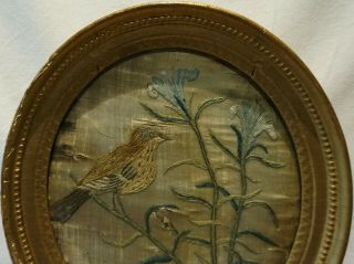 SMALL EARLY 19TH CENTURY OVAL SILK WORK OF A THRUSH ON A FLORAL STEM - c.  1820 2
