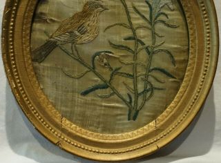 SMALL EARLY 19TH CENTURY OVAL SILK WORK OF A THRUSH ON A FLORAL STEM - c.  1820 3