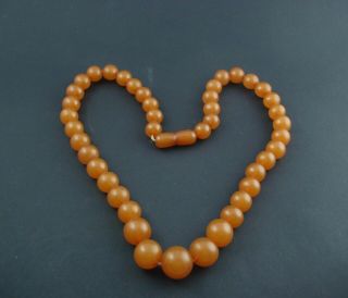 Vintage Ussr Natural Baltic Amber Butterscotch Necklace Beads