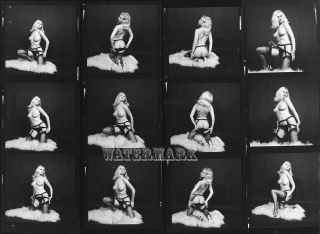 Annette Johnson Vintage Nude Contact Sheet (10 " X 8 ")