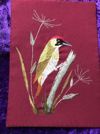 Vintage Embroidery Of A Woodpecker On Red Cloth Vgc 11.  5 X 8 Inches