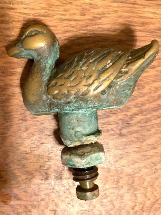 Vintage Garden Hose Brass Duck Water Spigot Decor.  4 " X 4 ".