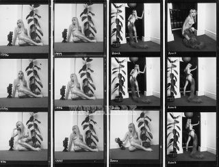 7 Jo Peters Vintage Nude Contact Sheets (10 " X 8 ")