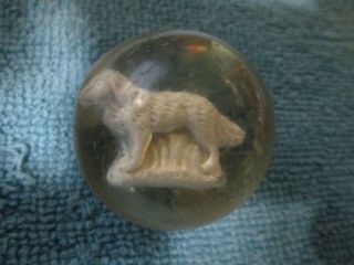 Antique German Sulphide Marble - 1.  45 " - Dog Figurine