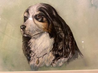 London Antique Show Buy - An English Watercolor Painting Of A Dog - Framed In Mat