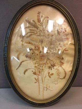 Vintage Pressed Dried Flowers In Vintage Oval Frame