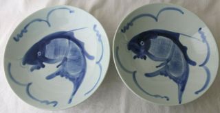 Two Antique Chinese Blue And White Porcelain Koi Fish Bowls Qing Dynasty 9 " 23cm