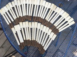 45 Vintage Reclaimed Ivory Upright Piano Keys,