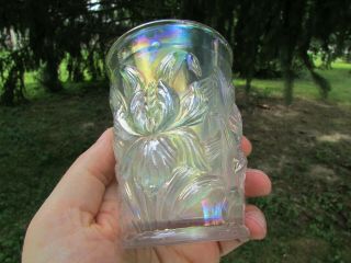 Dugan Heavy Iris Antique Carnival Art Glass Tumbler White Very Scarce Gorgeous