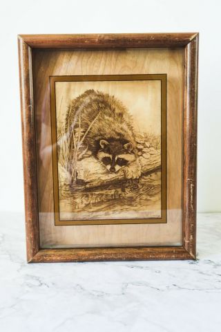 Vintage Raccoon Art,  1976 Etching Image On Glass By Dennis Curry,  Vintage Father