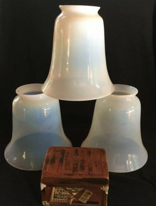 Set Of 3 Antique French Opalescent Opaline Glass Lamp Shades 2 1/8” Fitter