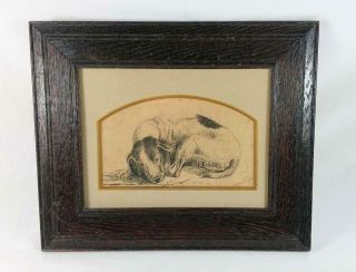 Antique Framed 18th C Old Master Ink Drawing Of A Sleeping Dog