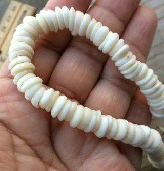 Vintage Hawaiian Puka Shell Bead Strand Necklace 15 " Barrel Clasp