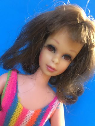 Vintage 1960’s Francie Doll Barbie,  Tnt Body,  Exseptional