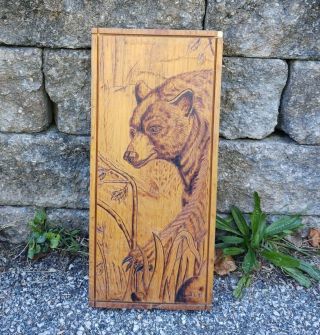 Vintage Hand Made Wood Burning Pyrography Art Bear In Woods Artist Initialed