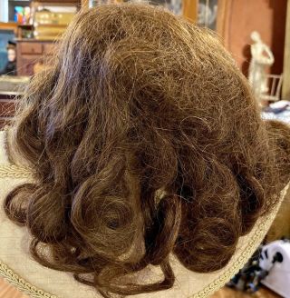 29 Antique 13 - 14 " Brunette Long Curly Human Hair Doll Wig