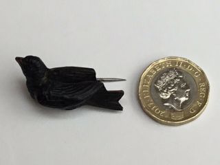 Antique Victorian 19th C Vulcanite Mourning Bird Brooch,  Brass Pin 2