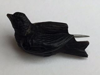 Antique Victorian 19th C Vulcanite Mourning Bird Brooch,  Brass Pin 3