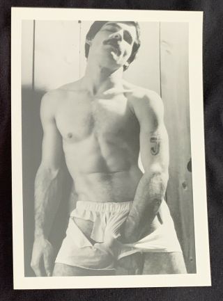 Vintage Colt Studios Male Nude 5x7 B/w Photo - Gay Int - Joe Porcelli 6