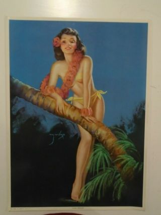 Vintage Billy Devorss Pin Up Island Serenade Salesmans Sample Poster 12 X 16 1/2