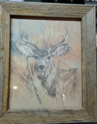 K.  Maroon 1978 Silent Buck Deer With Solid Wood Picture Frame,  Vintage Signed